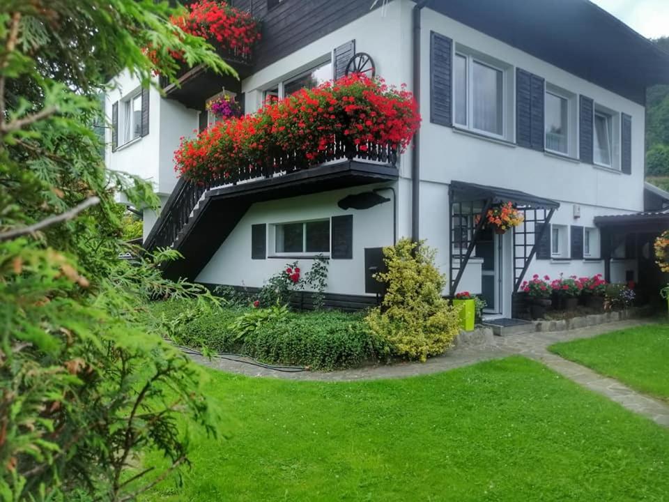 Apartament Bukowy Lägenhet Szczyrk Exteriör bild
